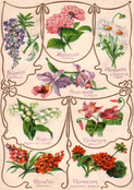 Bouquet de fleurs pour l'amour &eacute;ternel